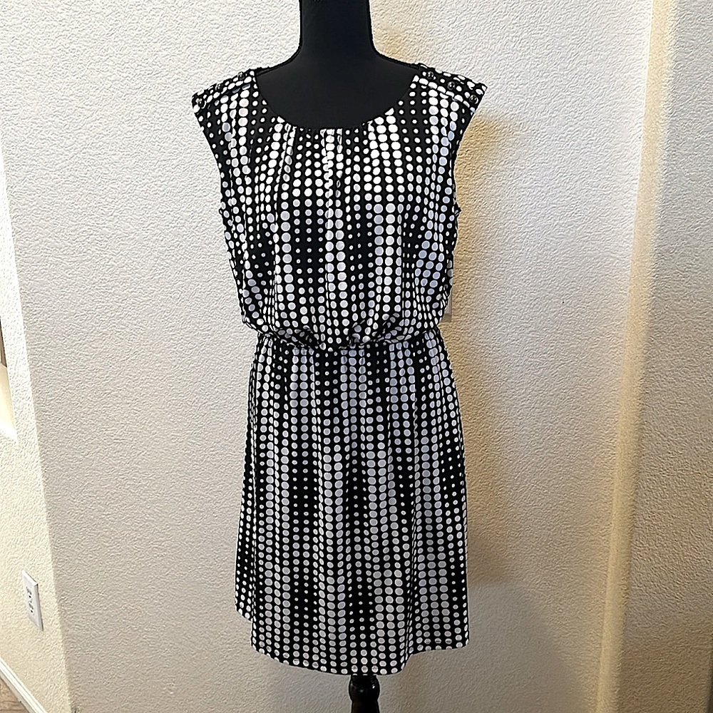 Corey P PolkaDot Above the Knee Womens Dress Elastic Waist Line